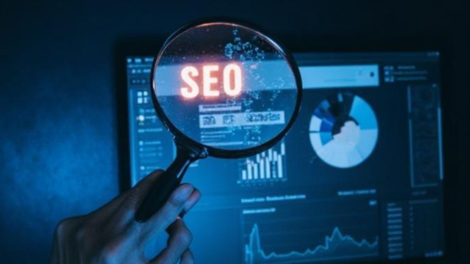 SEO Optimizasyonu
